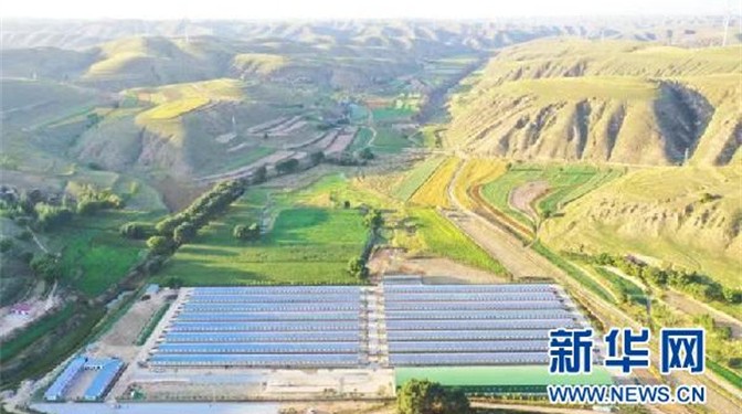 【喜迎黨代會(huì)】強(qiáng)基固本筑堡壘——甘肅省基層黨建工作綜述